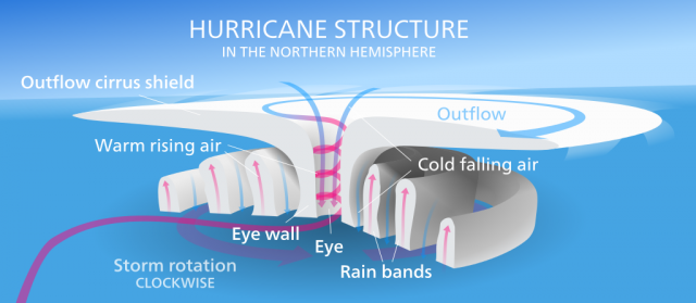 "Hurricane-en" by Kelvinsong - Own work. Licensed under CC BY 3.0 via Wikimedia Commons - http://commons.wikimedia.org/wiki/File:Hurricane-en.svg#/media/File:Hurricane-en.svg
